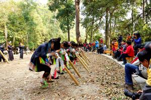 Basha Miao Village